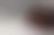 Archival-Inspired Vintage Bags