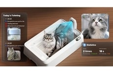 AI-Powered Open-Top Litter Boxes