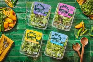 Eco-Conscious Packaging Redesigns Article Thubnail