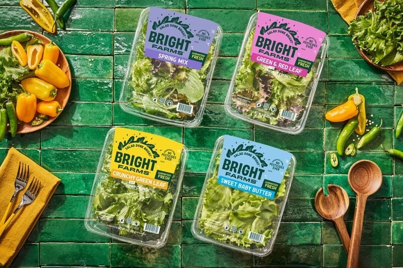 Eco-Conscious Packaging Redesigns Article Thubnail