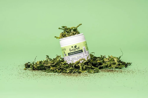 Seaweed-Based Dental Supplements