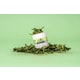 Seaweed-Based Dental Supplements Image 1