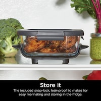 Portable Air Fryer Systems