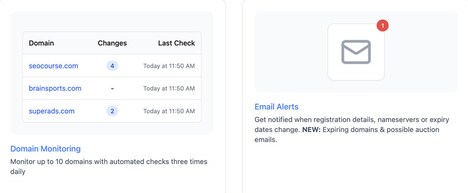 Domain Market Insights