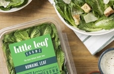 Packaged Romaine Leaf Lettuces