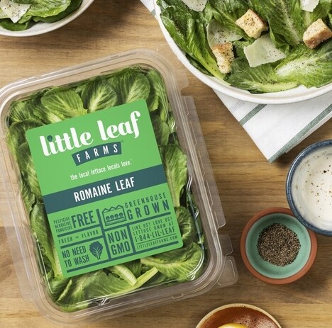 Packaged Romaine Leaf Lettuces