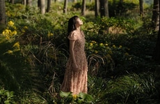 Wellness Hospitality Series