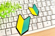 Scalable Solutions Partnerships