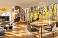 Mid-Century Renovation Projects