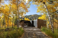 Mid-Century Renovation Projects Image 3