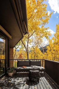 Mid-Century Renovation Projects Image 4