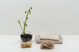 Potato-Based Clothing Fabrics Article Thubnail