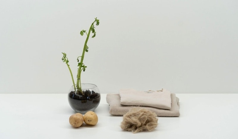 Potato-Based Clothing Fabrics Article Thubnail