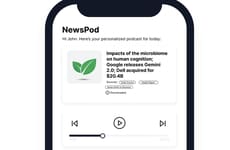 Audio News Summarizers