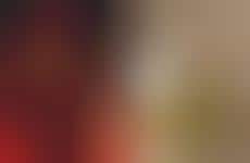 Celebrity Wellness Brand Expansions