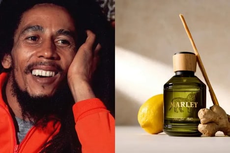 Celebrity Wellness Brand Expansions
