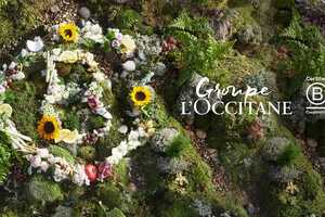 Sustainable Beauty Efforts Article Thubnail