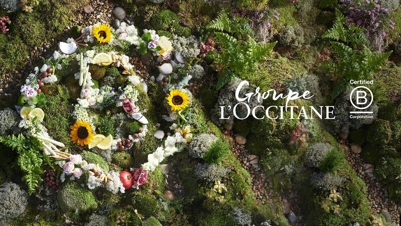 Sustainable Beauty Efforts Article Thubnail