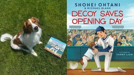 Dog-Inspired True Storybooks