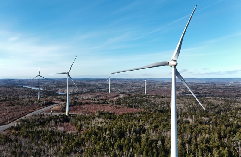 Provincial Environmental Programs Article Thubnail