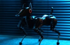 DIY AI-Fueled Robot Dogs