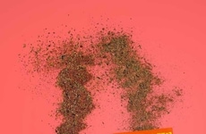 Single-Use Taco Seasonings