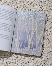 Design Journey Picture Books