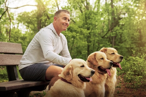 Sporty Pet-Centric Video Series