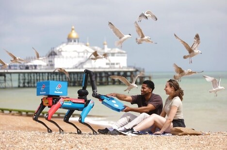 Pizza Delivery Robot Dogs