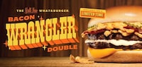 Bold Texas-Inspired Burgers Image 1