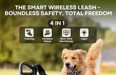 Wireless Dog Fences