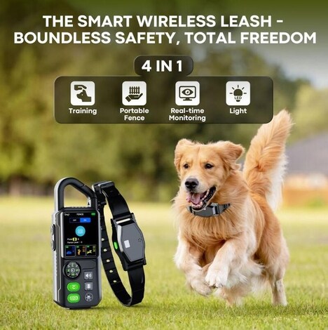 Wireless Dog Fences