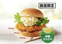 Refreshing Summertime QSR Sandwiches Image 3
