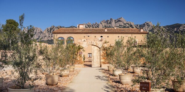 Award-Winning Landscape Projects