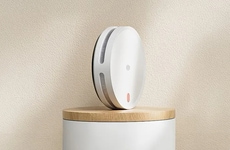 Intelligent Processor Smoke Alarms