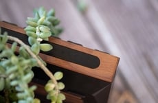 Solar-Powered TKL Keyboards