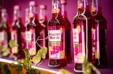 Refreshing RTD Sangrias