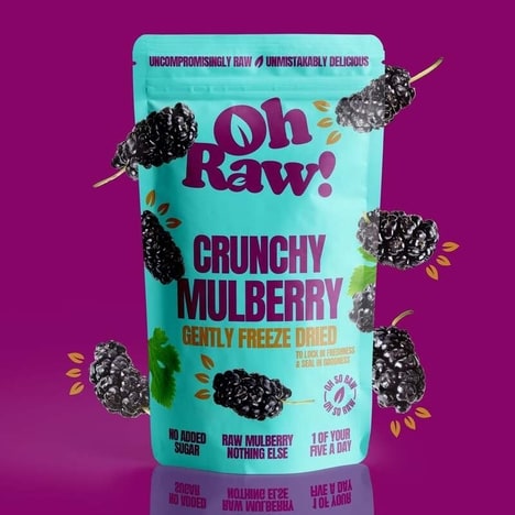 Crunchy Mulberry Snacks
