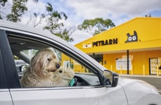 Australian Dog Deliveries