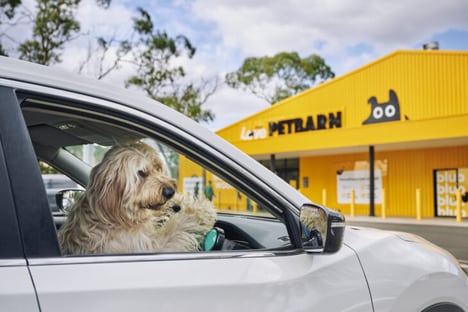 Australian Dog Deliveries