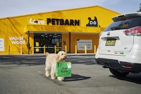 Australian Dog Deliveries Image 3
