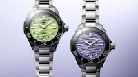 Sophisticated Pastel Dial Timepieces