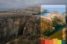 Real Time Film Filters