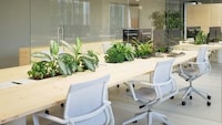Nature Integrated Offices Image 3