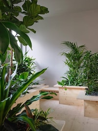 Nature Integrated Offices Image 4