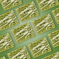 Crispy Matcha Edibles