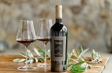 Business Class Wine Experiences