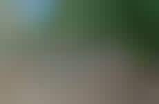 Honest Sustainability-Focused Installations