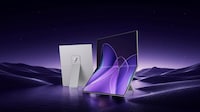 Portable Dual Displays Image 2