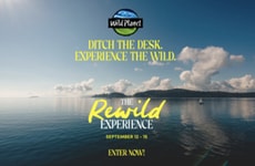 Nature-Connected Lifestyle Campaigns